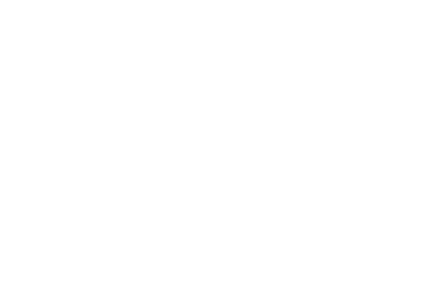 Fillhouse Development - logo białe